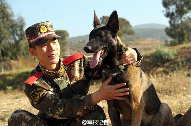 武警90后训导员：军犬最亲密的战友