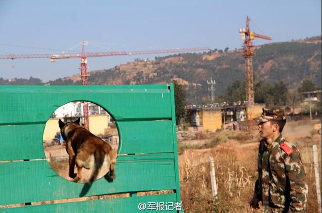 武警90后训导员：军犬最亲密的战友