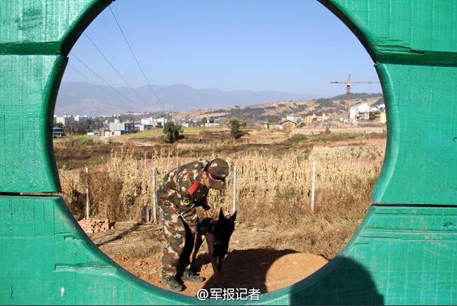 武警90后训导员：军犬最亲密的战友